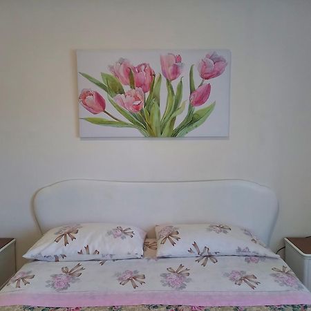 Casa Emilia Otel Marano Principato Dış mekan fotoğraf